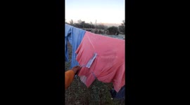 Frozen clothes turn solid in cold snap in Fernando de la Mora, Paraguay
