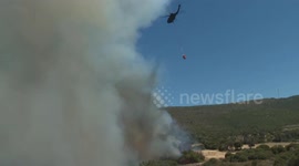 Türkiye: Dramatic images of forest fires spread to residential areas in western Türkiye
