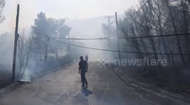 Greece: Wildfire near Athens forces evacuations, damages homes