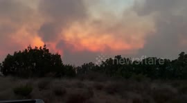 US: Madre Fire Explodes To 9800 Acres As Crews Battle Flames Across San Luis Obispo County