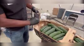 US: Dea Seizes Over 700 Pounds Of Methamphetamine Hidden In Cucumber Shipment In Georgia