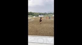 Rider falls as horse bucks when it goes round corner