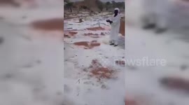 Sudan: Hailstorm Batters Crops And Livestock In Sudan