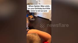 Spider-Man surprise visit goes wrong as toddler screams in fear