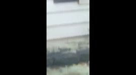 This is a absolute must see it was back about a year and a half ago when I really started to understand what these light beings were and was about but this was recorded frome me living room and it's show a little light being ship sitting on my living room