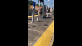 Vigilantes beat up man who assaulted woman at New York subway platform