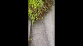 Ash-Laden Floodwaters Flow Downstream After Shinmoedake Eruption