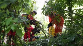 China: 9 rescued from flooded river in China's Yunnan