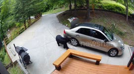 Black Bear Digs Through Unlocked Trunk