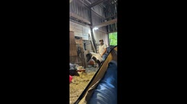 Pony Torpedoes Through Barn