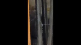 This was recorded about a year and half ago me and my wife was sitting in are living room talking and I cought something out of the corner of my eye it was under this fold out camping chair I had sitting in the corner and I grabbed my phone and started to