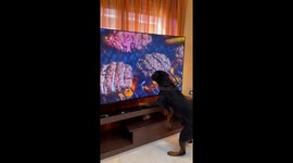 Burger On Screen Confuses Hungry Rottweiler