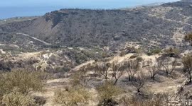 Greece: Wildfires in Greek island of Crete brought under control