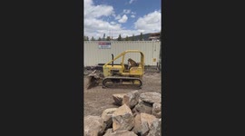 Dog Rides On Small Bulldozer