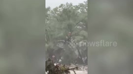 US: Dramatic airlift rescue carried out amid deadly flooding in Texas