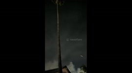 US: Fireworks Spark Multi-Home Blaze in Pacoima, San Fernando Valley