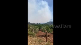 Türkiye: Smoke rises from a forested area following a wildfire in the Seferihisar district of Izmir