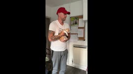 Man surprises his wife with a kitten after they return from family trip