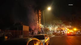US, Los Angeles: Winnetka LAFD Extinguishes Tree Fire Sparked by Fireworks
