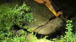 Heartwarming rescue! Elephant trapped in well helped out by excavator, pauses to look back in silent gratitude