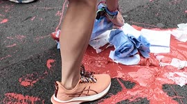 Pro Palestine protestors delay the Pride Parade in London. Witness said they jumped over the fence hurling paint