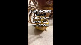 Claw Machine hack: TikTok’s lemon trick reveals why you keep losing