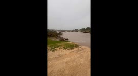 US: Devastating Flood Aftermath in Kerrville: Uprooted Trees