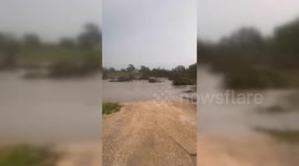 US: Devastating Flood Aftermath in Kerrville: Uprooted Trees