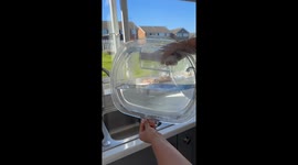Satisfying and safe: Viral tumble dryer deep clean sparks fire safety awareness