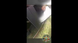 Deputy Rescues Driver From Overturned SUV in Gainesville Crash