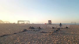 Brazil: Environmental activists place oil-covered dolphins at Copacabana Beach of Brazil