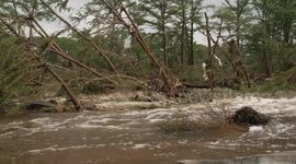 US: Texas floods kill at least 50, dozens still missing