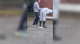 Woman swarmed by bees after collecting honey for the first time