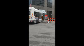 Broad Street Blocked By Bus Traffic Chaos