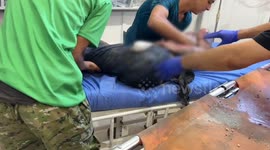 Israeli airstrikes kill 68 Palestinians across Gaza