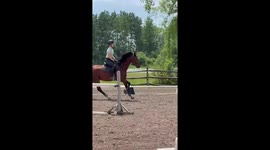 Horse trips and rider falls during jump in Minneapolis, Minnesota