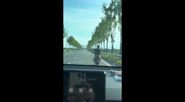 Bird playfully taps rider's head in Jiangxi, China