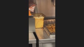 Bugs spotted crawling on fries at fast food outlet in Brooklyn, New York