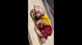The monkey slept soundly after eating his fill.