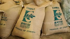 Ethiopia: Ethiopia's coffee ready to take bigger market in China thanks to zero tariff treatment