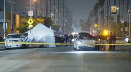 US, Los Angeles: Vermont Vista Fatal Hit-and-Run Crash
