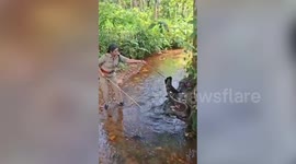 Brave forest officer removes 15-foot king cobra from stream used by locals in India