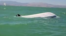 Israel: Israel Police Maritime Unit officers rescue a family after their boat capsized in the Sea of Galilee