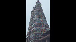Monsoon Slows in Malenadu, Bringing Calm Between Showers