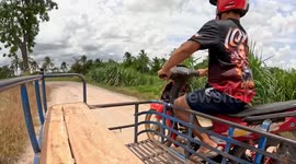 Motorcycle sidecar rider overturns and crashes into sugarcane field