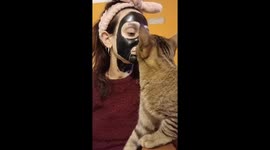 Cat reacts to owner's charcoal mask in La Plata, Argentina
