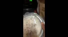Hungry dog drops bowl while waiting for food in Brandon, Mississippi, USA