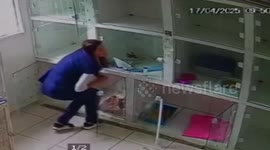 Woman bumps head on cage lid at vet clinic in São Paulo, Brazil