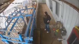 Cow escapes treatment line and climbs railing in Cuauhtémoc, Mexico