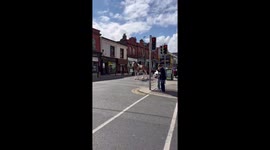 Giant Clydesdale horse draws attention in Dublin, Ireland